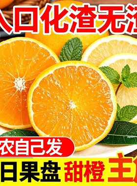 现摘夏橙新鲜水果橙子湖南江永蜜橙柑橘榨汁手剥大果甜橙