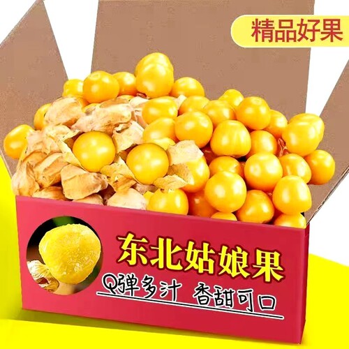 东北姑娘果姑鸟新鲜现摘黄菇娘果