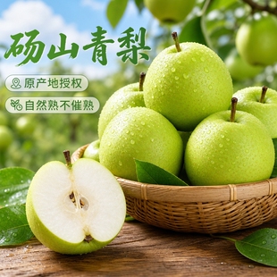 安徽应季砀山青皮脆梨净重4.5斤