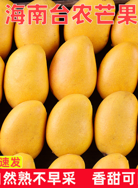 海南小台农芒果3/5斤新鲜台芒当季特产水果现摘芒果大果整箱包邮