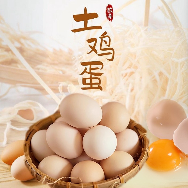 正宗农家散养土鸡蛋农场直发鲜鸡蛋柴鸡蛋宝宝辅食月子蛋营养蛋