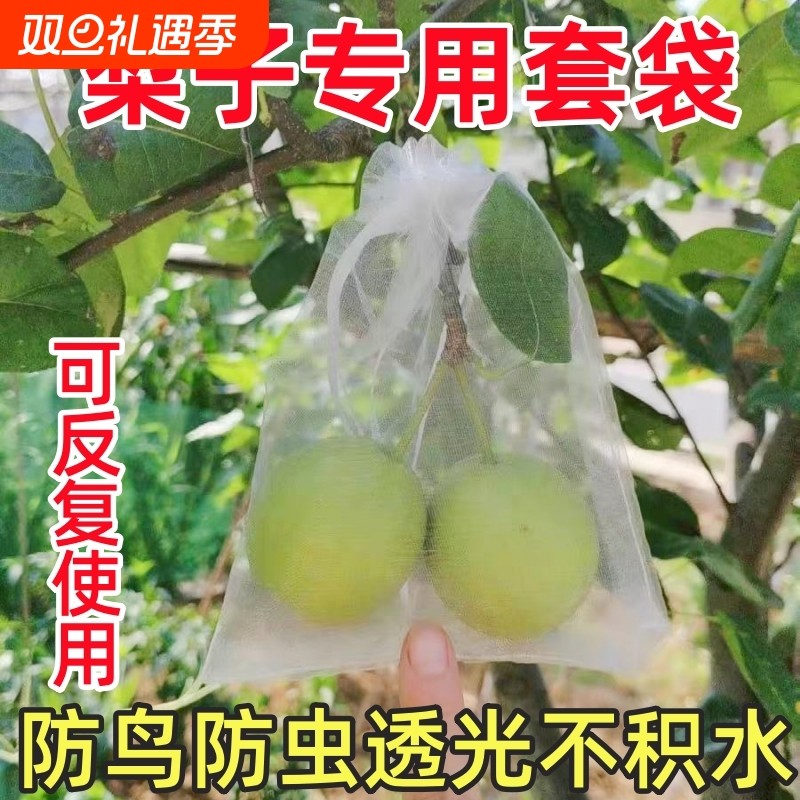 梨树专用水果套袋防虫防鸟通用无花果葡萄草莓桃子瓜果尼龙纱网袋