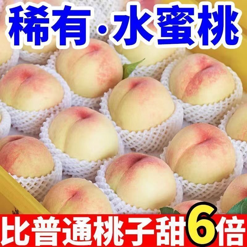 新鲜正宗水蜜桃毛桃春季头茬孕妇可食大桃子水果脆甜多汁鲜果包邮