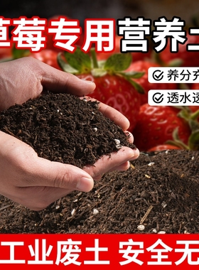 草莓专用土营养土种草莓专用瓜果蔬菜通用土阳台有机腐殖土泥炭土