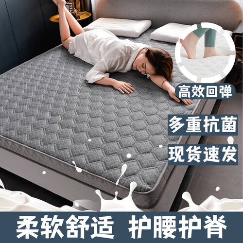 四季款床垫家用软垫褥铺地