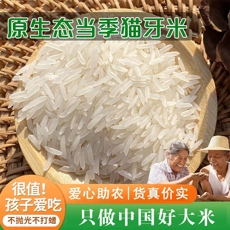 农家猫牙米长粒香米当季新米丝苗米籼米原生态稻香米一级大米10斤