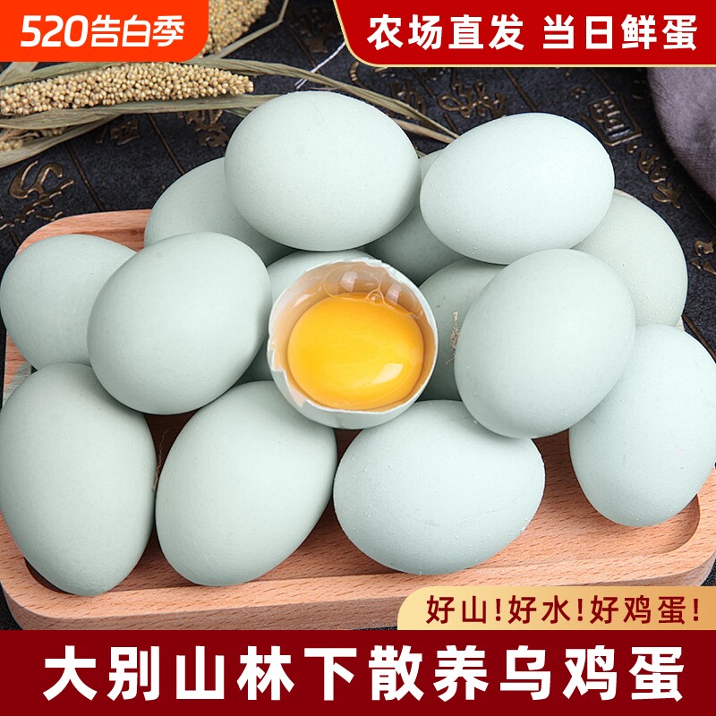 乌鸡蛋农家湖北大别山五谷杂粮谷物蛋绿壳土鸡蛋现发新鲜散养自提