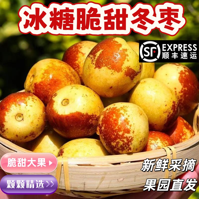 顺丰包邮正宗冬枣新鲜大果应季整箱枣子现摘脆枣冰糖大枣当季水果