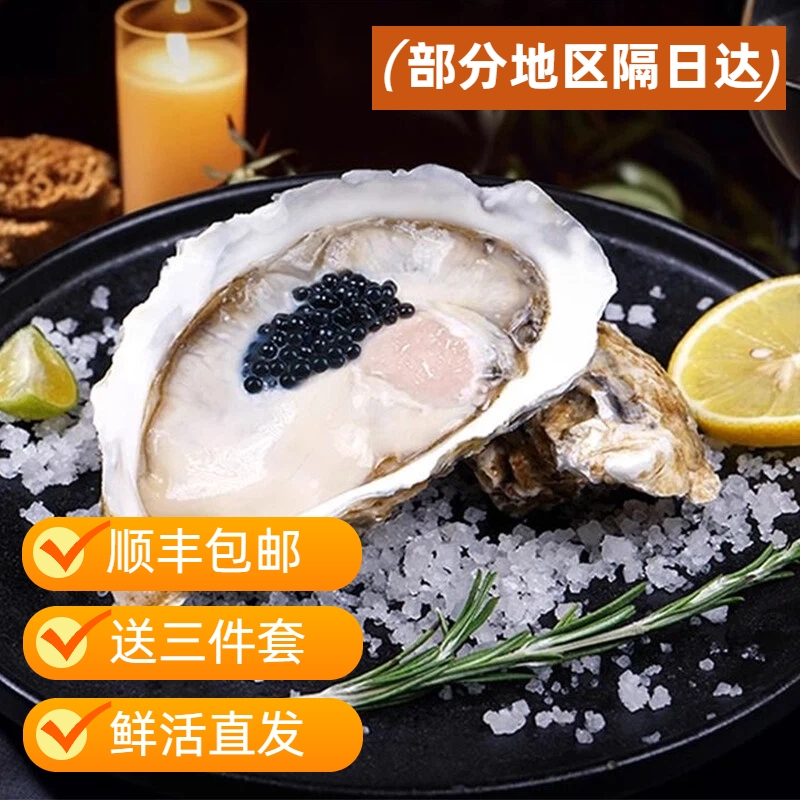 鲜活生蚝新鲜特大海蛎子5斤3倍体牡蛎水商用整箱批发