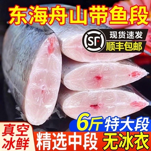 带鱼新鲜冷冻刀鱼中段特级东海小眼深海鱼鲜活海鲜冰鲜水产无冰