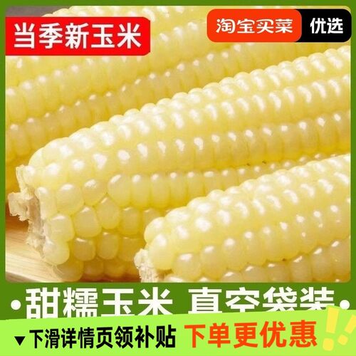 东北白糯玉米甜糯粘玉米棒真空包装黏玉米新鲜加热即食真空装买菜