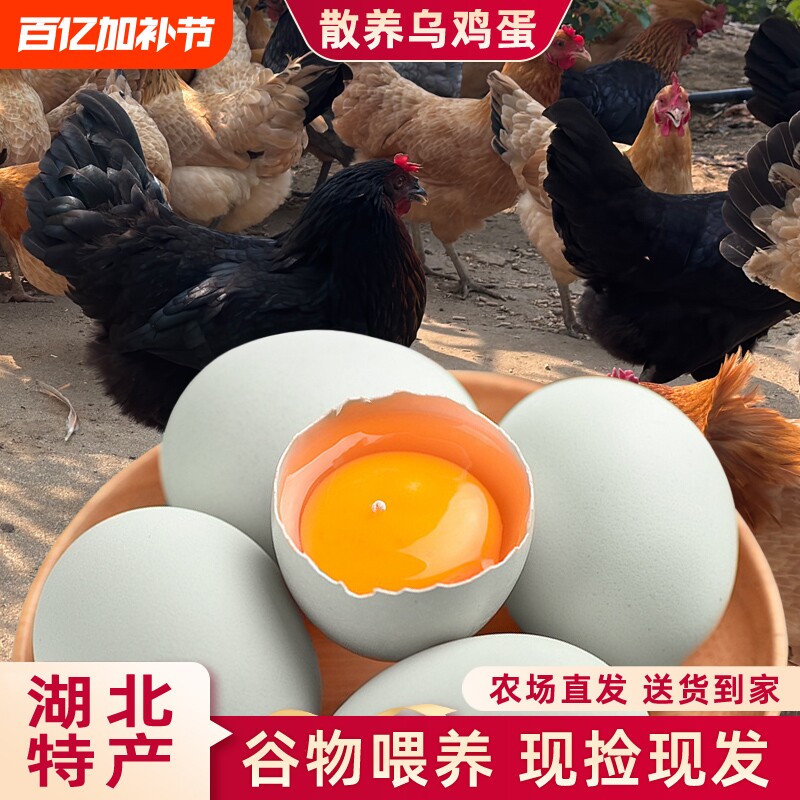农家散养乌鸡蛋大别山放养绿壳蛋谷物鲜蛋儿童孕妇优选月子鸡蛋