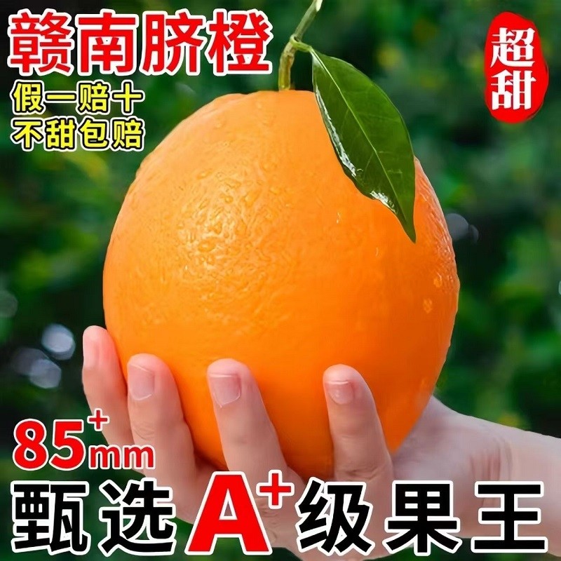 正宗赣南脐橙新鲜橙子当季水果果冻冰糖甜橙大果整箱包邮精品皮薄