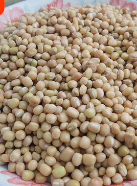贵州小豆新豆米酸菜豆米