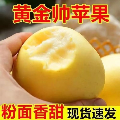 金帅苹果当季现摘酸甜脆甜孕妇新鲜水果青苹果