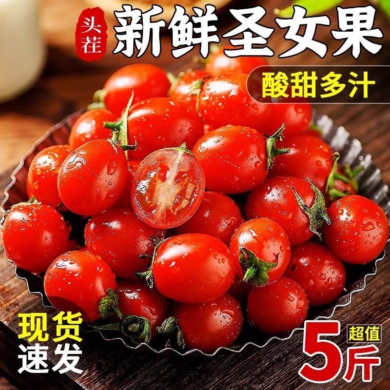 新鲜圣女果现摘多汁樱桃水果小番茄小西红柿自然成熟应季水果,水产肉类/新鲜蔬果/熟食,番茄,淘宝优惠券,粉丝福利购,淘宝优惠卷