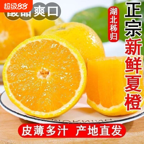 夏脐橙正宗秭归新鲜橙子当季水果