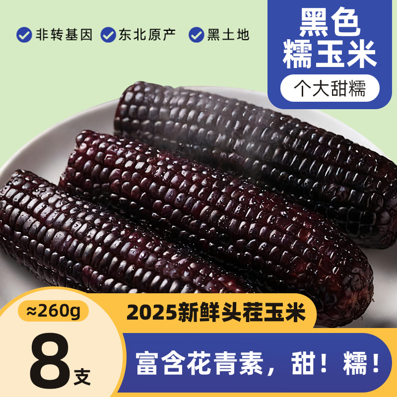 东北黑土孕育自然甜糯黑玉米