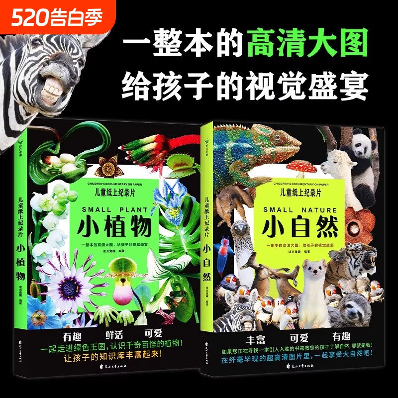 儿童纸上纪录片小自然小植物波点童趣一整本的给孩子的视觉盛宴少儿科