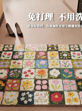 丝圈地垫耐脏免洗入户门地垫