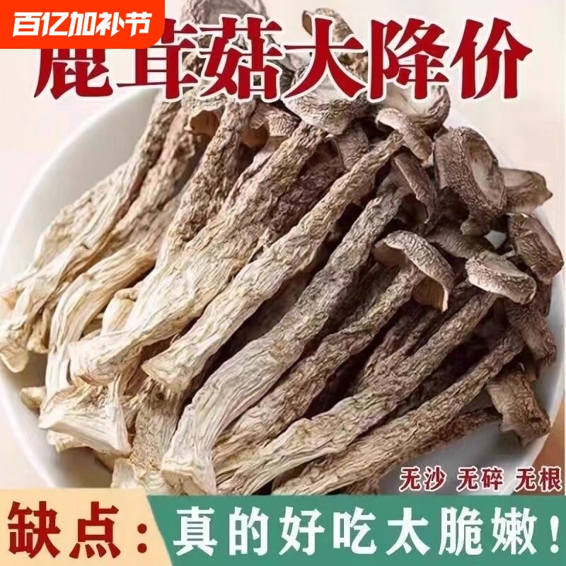 古田鹿茸菇干货鹿茸菌商用香菇煲汤新鲜蘑菇美味食材批发年货精选
