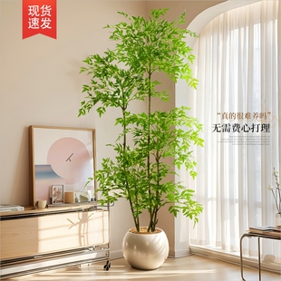 仿真绿植南天竹室内大型落地高级感盆栽装饰品假树摆件植物氛围