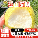 包邮 雪梨砀山梨 整箱梨子新鲜时令水果应季 正宗安徽砀山酥梨当季