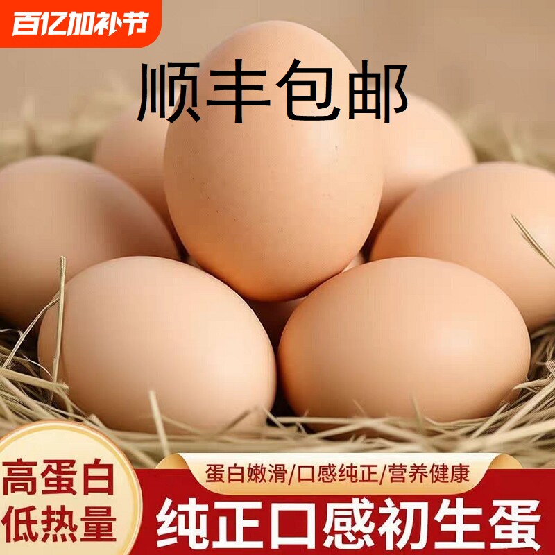 顺丰包邮正宗农家散养土鸡蛋新鲜农村谷物鸡蛋柴鸡蛋草鸡蛋鲜鸡蛋