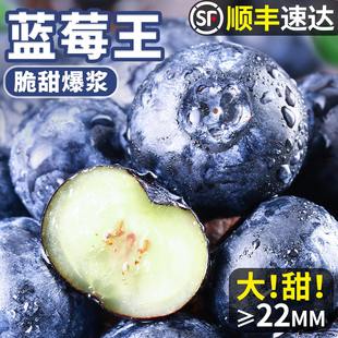 云南高山蓝莓新鲜鲜果正宗花香蓝莓果王当季现摘水果现货顺丰包邮