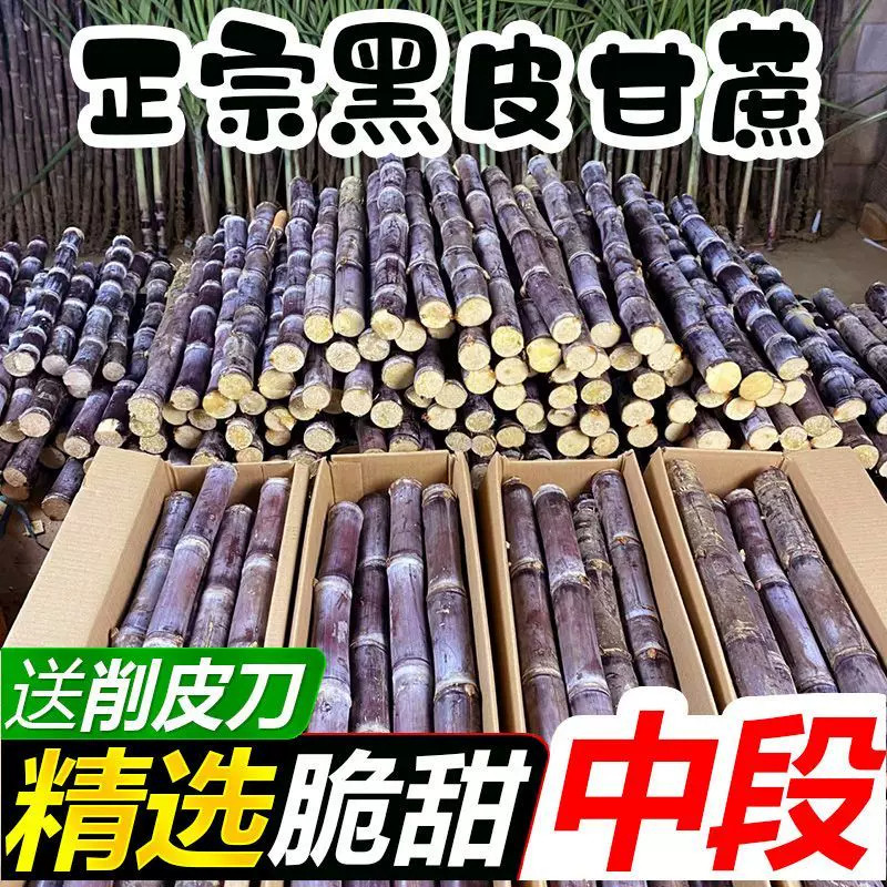 正宗广西黑皮甘蔗新鲜爆脆甜水果当季当天现砍5/9斤整箱批发包邮