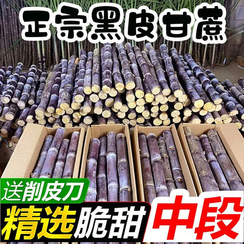 正宗广西黑皮甘蔗新鲜爆脆甜水果当季当天现砍5/9斤整箱批发包邮