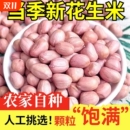 2025新白沙花生米现剥无壳粉皮新鲜圆润饱满香脆餐饮