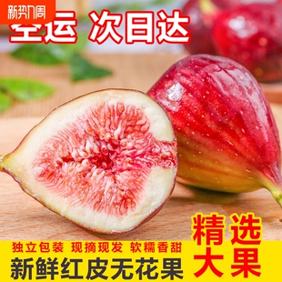 孕妇应季 云南红皮无花果新鲜大果当季 紫皮水果鲜果批发 包邮 空运