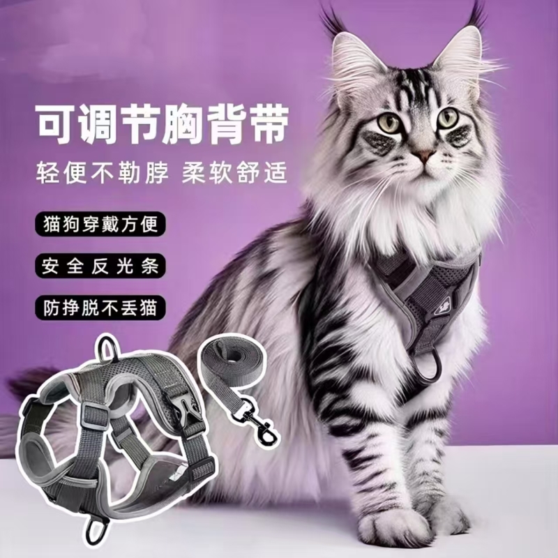 【宠物达人推荐】遛猫咪牵引绳