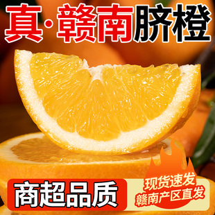 江西赣南脐橙新鲜现摘当季时令水果手剥甜橙子树上熟鲜橙整箱包邮