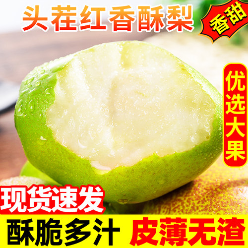 陕西红香酥梨新鲜酥脆梨子