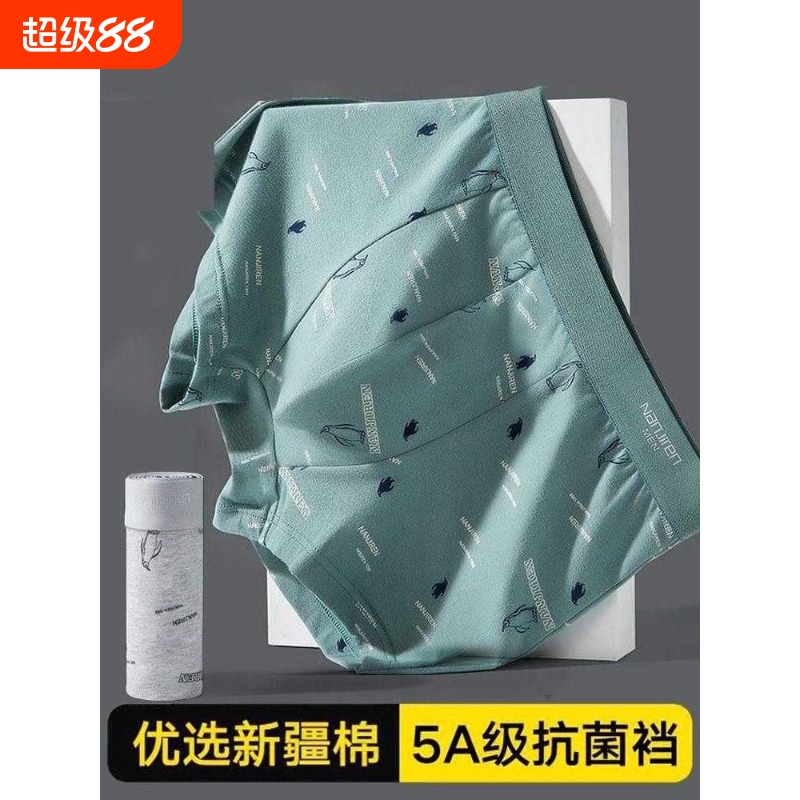 青少年平角男士内裤纯棉