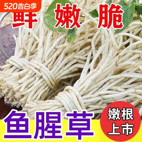 新鲜嫩根折耳根现挖原味节节根