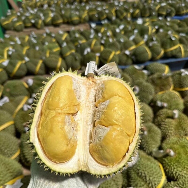 泰国现货进口甲仑榴莲整个新鲜带壳鲜果水果应季