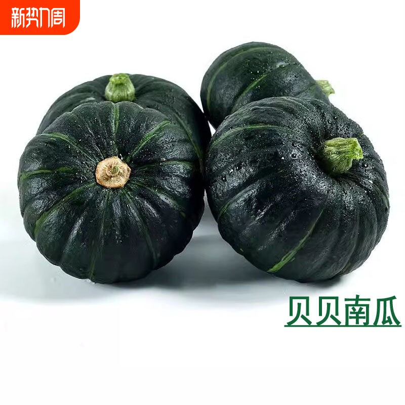 新鲜贝贝南瓜板栗味贝贝小南瓜栗面栗子板票南瓜