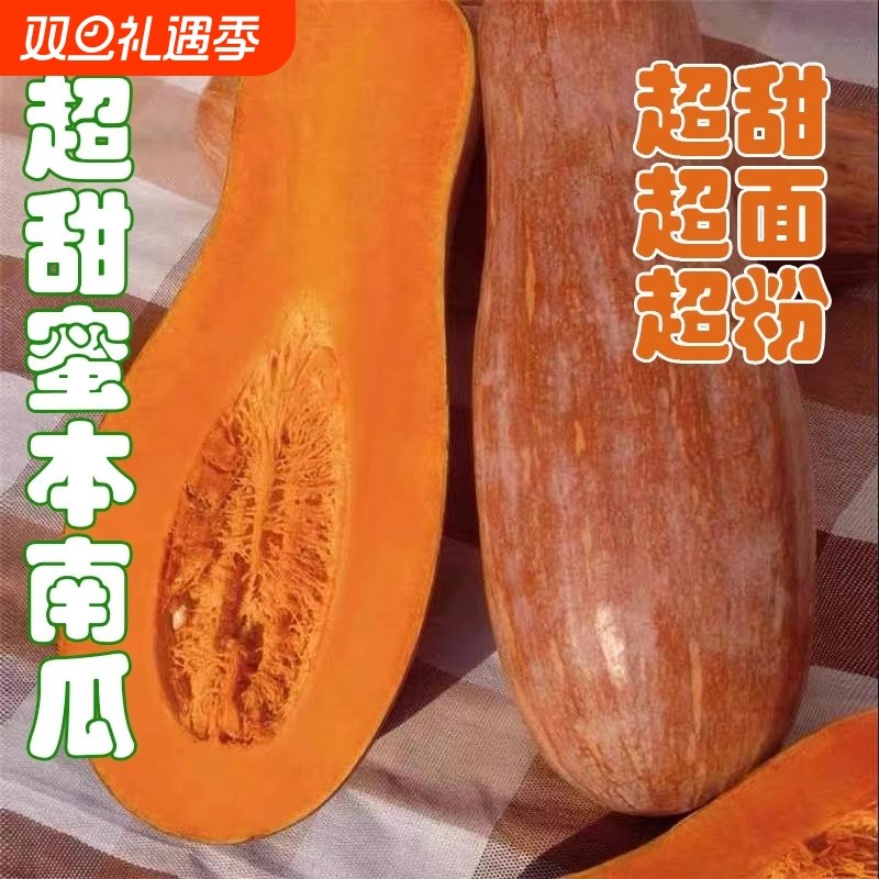 种子苗蜜本南瓜秧蔬菜孑菜种长密本秧苗西兰花洋葱白菜苔奶油高产