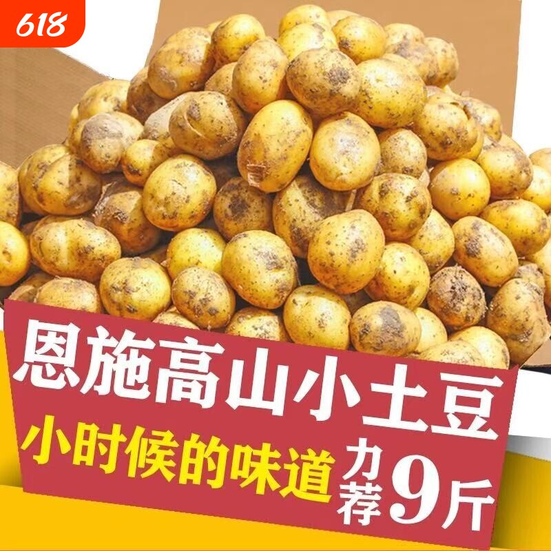 黄心小土豆恩施湖北2026当季农家新鲜马铃薯迷你高山富硒洋芋产地