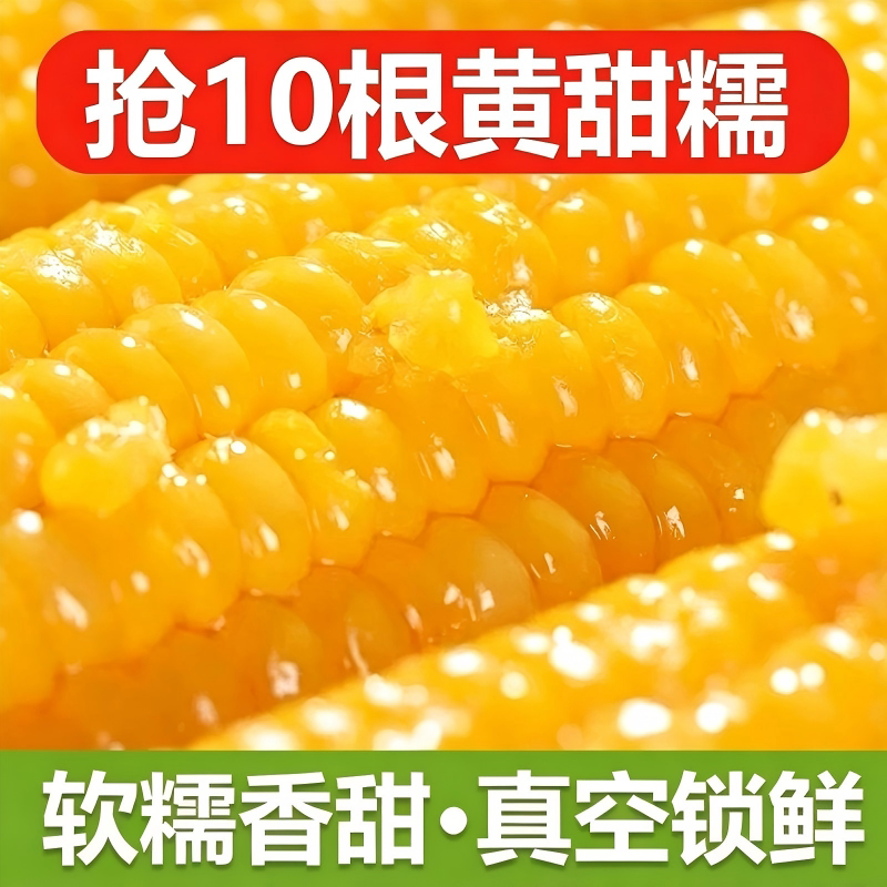 东北新鲜粘糯玉米黄低脂代餐非转基因黄甜糯玉米真空香甜早餐软糯