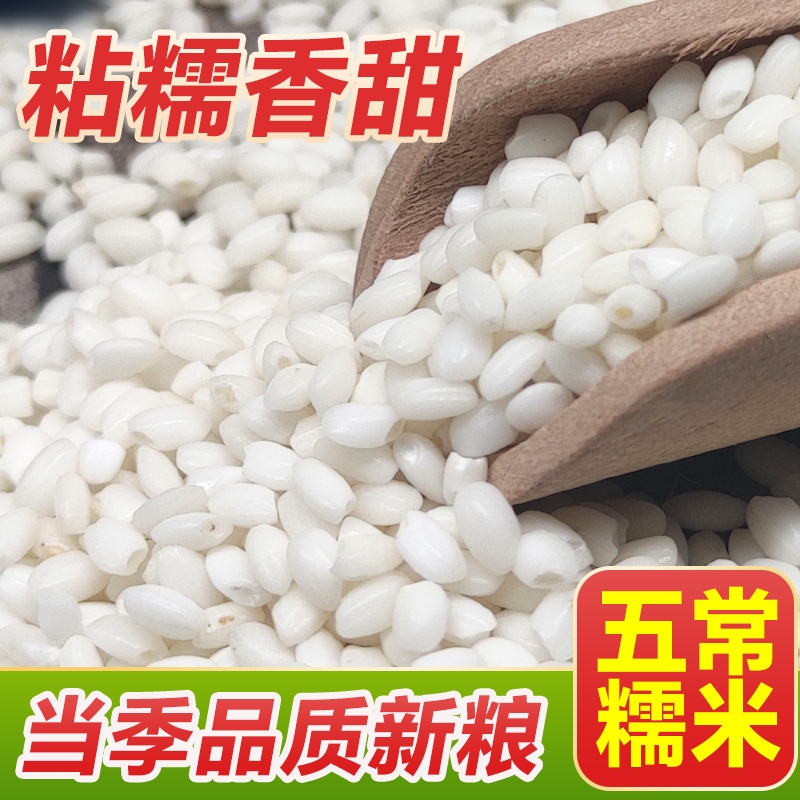糯米新米东北新鲜农家自产食用包粽子酿酒专用白江米东北大米