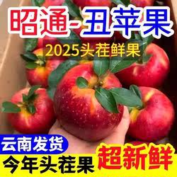 2025云南早熟苹果脆甜冰糖头茬当季新鲜水果现摘昭通苹果批发
