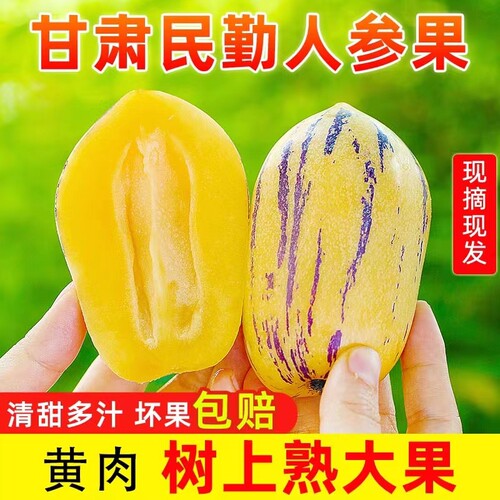甘肃民勤人参果黄肉熟果清甜多汁