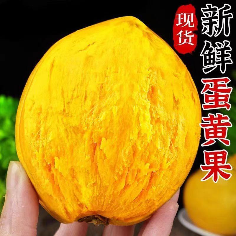 广西鸡蛋果新鲜水果当季整箱批发应季蛋黄果稀有热带时令特产整箱,水产肉类/新鲜蔬果/熟食,其它,淘宝优惠券,粉丝福利购,淘宝优惠卷