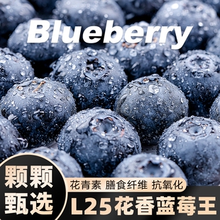 高山L25花香新鲜水果孕妇怡颗大果现摘 云南蓝莓鲜果特大礼盒当季
