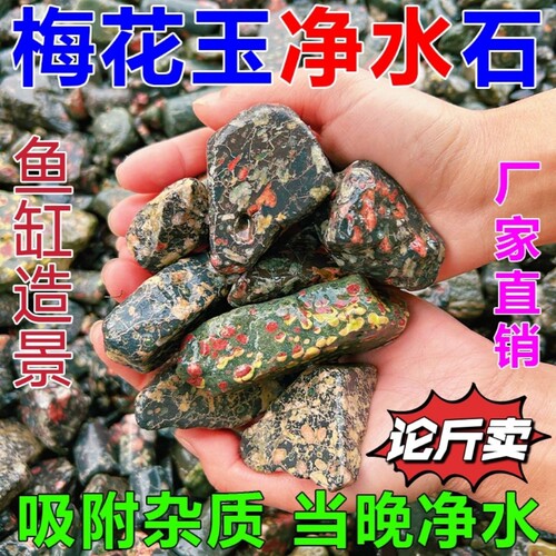天然安山玉鱼缸石梅花玉溪流石生态造景净水石懒人养鱼石过滤除藻
