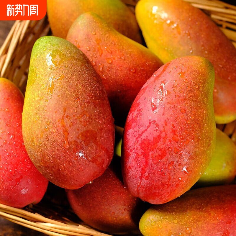 海南贵妃芒新鲜芒果水果大果树上熟红金龙辣椒甜心芒整箱9斤包邮
